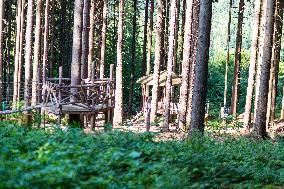 Prachatice, Forest games area, climbing frame, anthill, ant, playground, trees