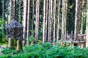 Prachatice, Forest games area, climbing frame, playground, trees, bird, nest