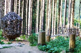 Prachatice, Forest games area, climbing frame, playground, trees, bird, nest