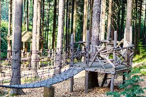 Prachatice, Forest games area, climbing frame, playground, trees, bird, nest