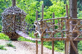 Prachatice, Forest games area, climbing frame, playground, trees, bird, nest