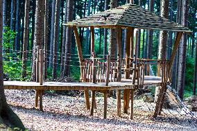 Prachatice, Forest games area, climbing frame, playground, trees, sings, spider, cobweb, web