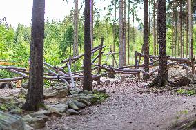 Prachatice, Forest games area, climbing frame, anthill, ant, playground, trees