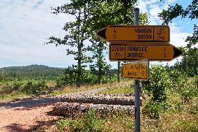 Forested highlands, mountain Brdy, touristic signs