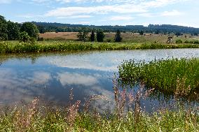 Forested highlands, mountain Brdy, Ponds of Padrt