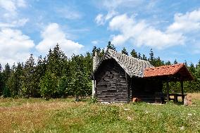 Forested highlands, mountain Brdy