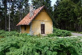 Forested highlands, mountain Brdy