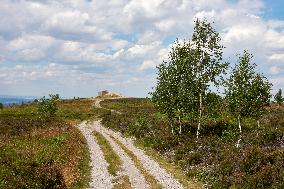 Forested highlands, mountain Brdy