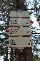 Forested highlands, mountain Brdy, touristic signs