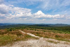 Forested highlands, mountain Brdy