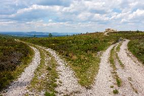 Forested highlands, mountain Brdy