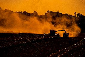 harvest, harvesting, field, combine harvester, tractor, rapeseed, oilseed rape (Brassica napus)