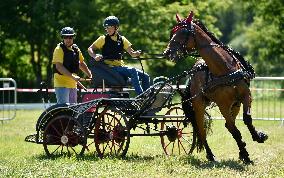 Tereza Vyvialova, horse racing, race