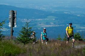 Bohemian Forest, Trojmezna Mountain (Three-border Mountain), Tristolicnik, Plechy, tourists, sun, rock, weather, hot