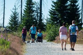 Bohemian Forest, Trojmezna Mountain (Three-border Mountain), Tristolicnik, Plechy, tourists, sun, rock, weather, hot