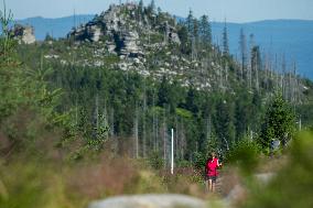 Bohemian Forest, Trojmezna Mountain (Three-border Mountain), Tristolicnik, Plechy, tourists, sun, rock, weather, hot