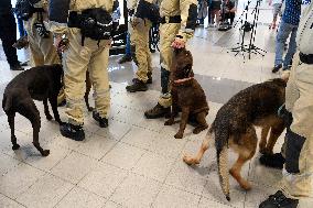 Czech rescuers special Urban Search and Rescue (USAR) team to Beirut