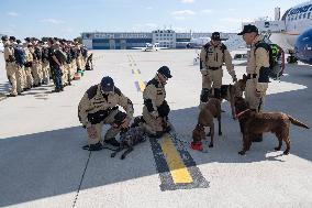 Czech rescuers special Urban Search and Rescue (USAR) team to Beirut