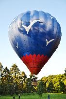 hot air balloon, balloons