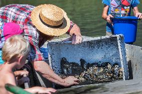volunteers move clams from shallows of the Bolevecky pond in Pilsen