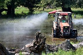 foresters spray against mosquitoes in flooded meadows behind the Pohansko chateau, tractor, spray, spraying