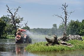 foresters spray against mosquitoes in flooded meadows behind the Pohansko chateau, tractor, spray, spraying