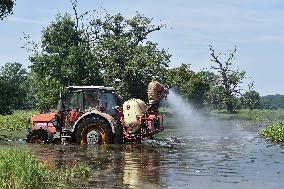 foresters spray against mosquitoes in flooded meadows behind the Pohansko chateau, tractor, spray, spraying