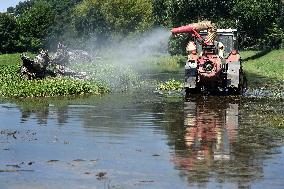 foresters spray against mosquitoes in flooded meadows behind the Pohansko chateau, tractor, spray, spraying