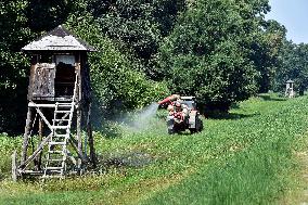 foresters spray against mosquitoes in flooded meadows behind the Pohansko chateau, tractor, spray, spraying