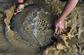 The 44th World Goldpanning Championships