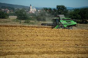 oat, field, harvest, harvesting, combine harvester