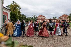 Castle Bonfire Night at Mnichovo Hradiste chateau