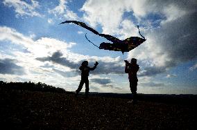 children, child, kids, kid, kite, fly, autumn, play, game, silhouette, field, sky