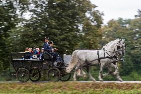 first-graders, carriage, Kladruber horse, horses, sprimary school, beginning of the new school year