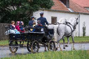 first-graders, carriage, Kladruber horse, horses, sprimary school, beginning of the new school year