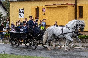 first-graders, carriage, Kladruber horse, horses, sprimary school, beginning of the new school year