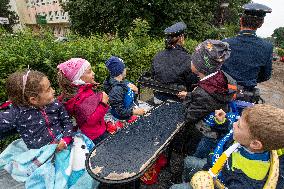 first-graders, carriage, Kladruber horse, horses, sprimary school, beginning of the new school year