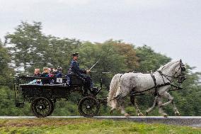 first-graders, carriage, Kladruber horse, horses, sprimary school, beginning of the new school year