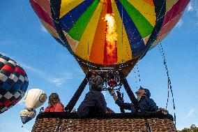 25 Balloons above Rozkos Lake, balloon fiesta, hot air balloon, balloons