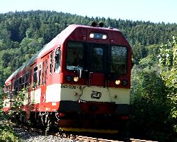 Train, Railway viaduct Novina