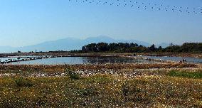 Salt works Kitros, production, Greece, salina