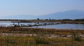 Salt works Kitros, production, Greece, salina