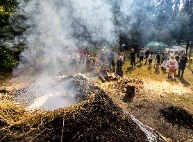 charcoal pile