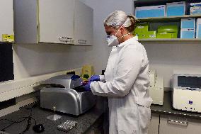 A rapid test for COVID-19 developed at the Immunology Institute at the Medical Faculty of Palacky University