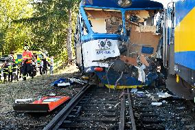 twenty injured in train's collision with service vehicle in Kdyne