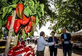 Autumn Fair Garden of Bohemia, Litomerice