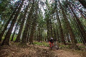 Singletrack Zdobnice, Glacensis, cycling, biker, forest, trees