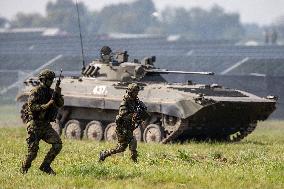 NATO Days and Czech Military Air Forces Days 2020, 7th Mechanised Brigade, soldiers, infantry fighting vehicle