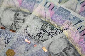 money, Czech crowns, 5000, banknotes, cash