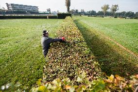 Velka Pardubicka cross-country steeplechase